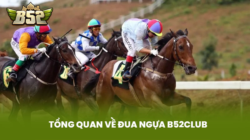 Tổng Quan Về Đua Ngựa B52club
