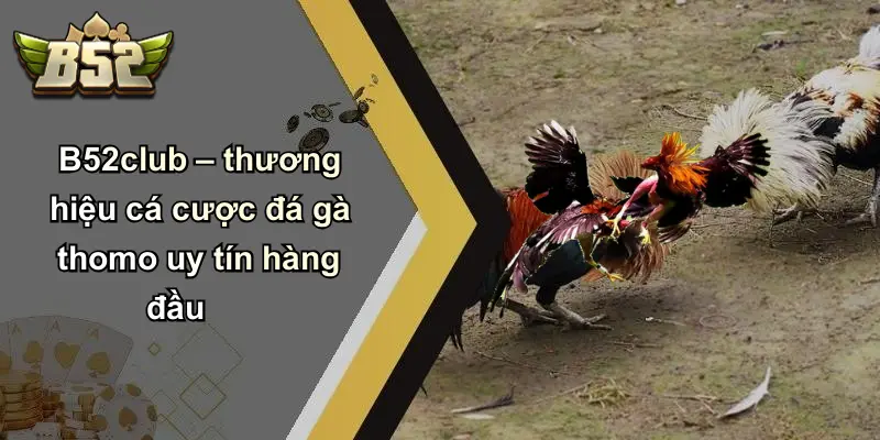 B52club – thương hiệu cá cược đá gà thomo uy tín hàng đầu