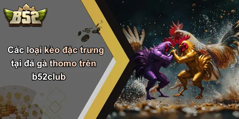 Các loại kèo đặc trưng tại đá gà thomo trên b52club