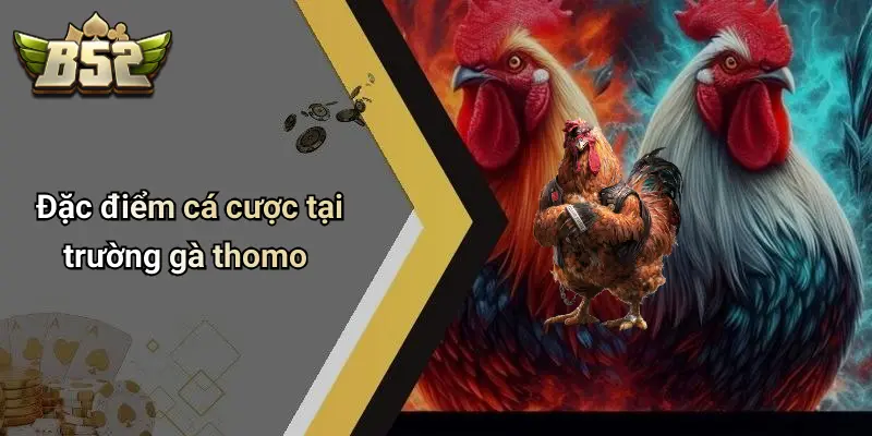 Đặc điểm cá cược tại trường gà thomo