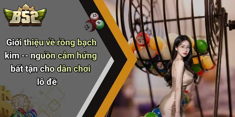 Giới thiệu về rồng bạch kim – nguồn cảm hứng bất tận cho dân chơi lô đề