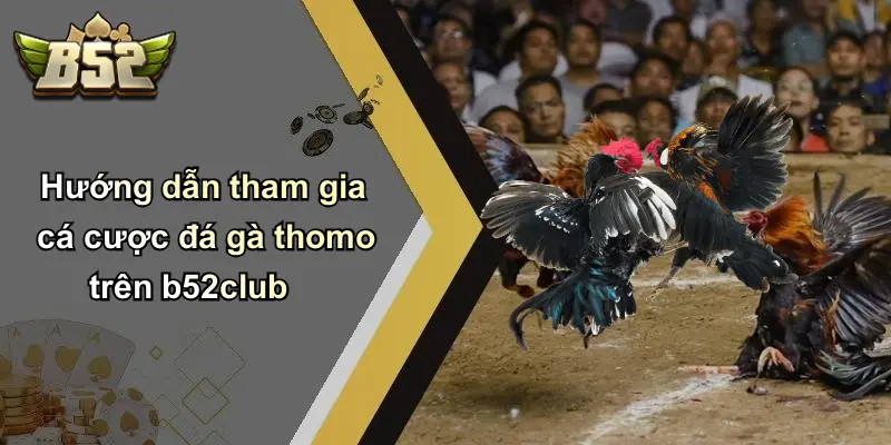 Hướng dẫn tham gia cá cược đá gà thomo trên b52club
