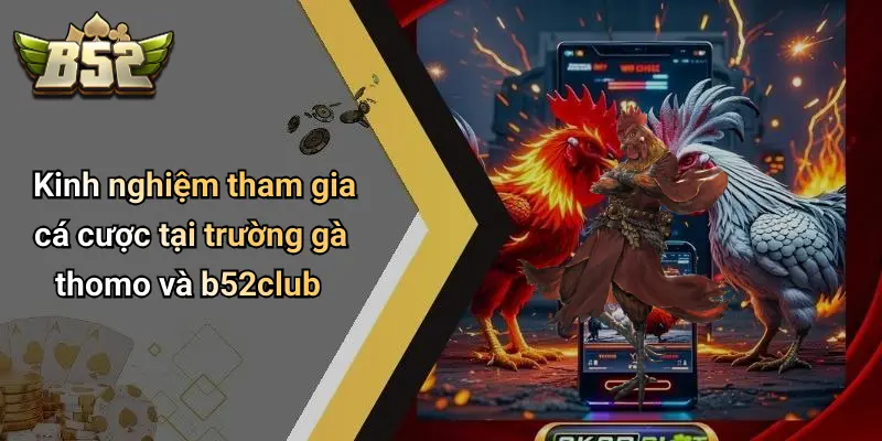 Kinh nghiệm tham gia cá cược tại trường gà thomo và b52club