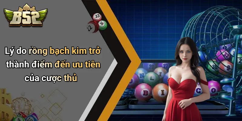 Lý do rồng bạch kim trở thành điểm đến ưu tiên của cược thủ